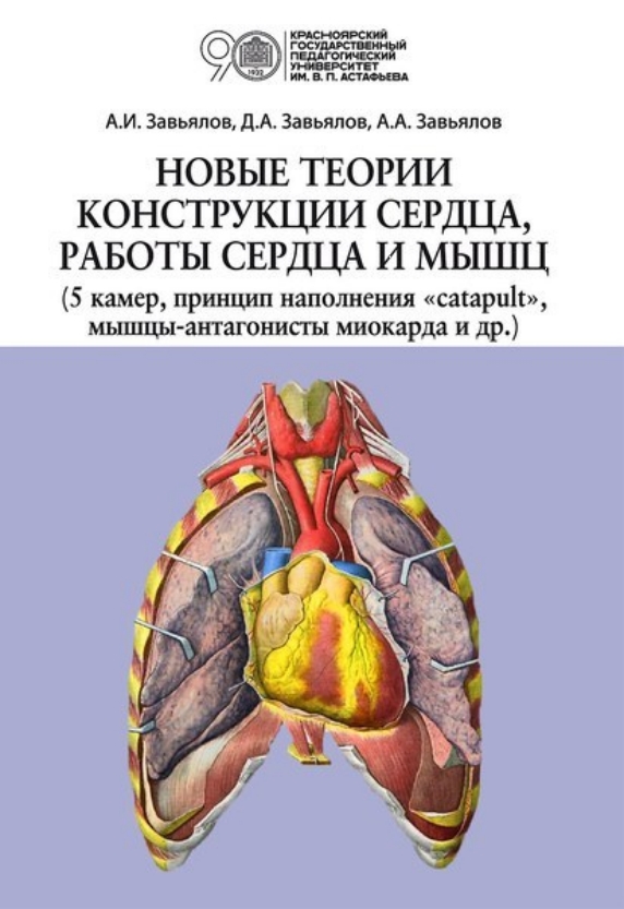 Новые теории конструкции сердца и мышечного сокращения